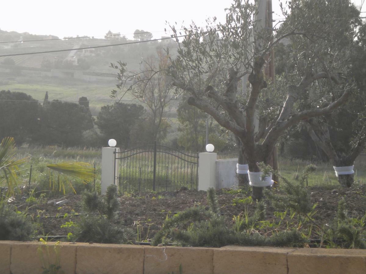 Case Barrera بورتو بالو المظهر الخارجي الصورة